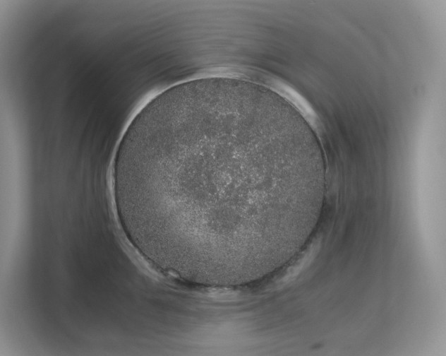 X0000111530907200907211242