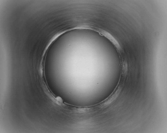 X0000111530908200907211242