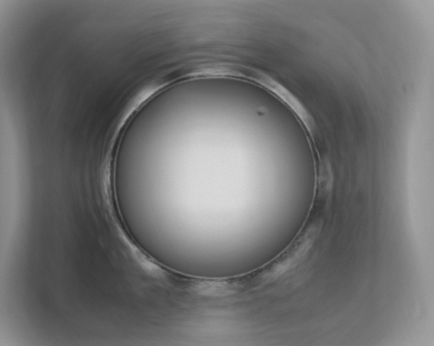 X0000111530909200907211242