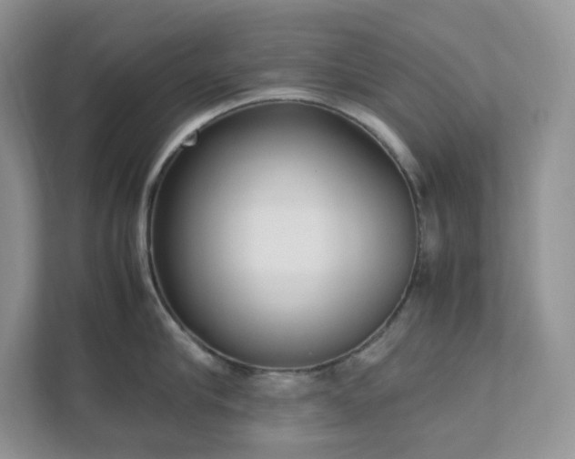 X0000111530910200907211242