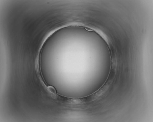 X0000111530911200907211242