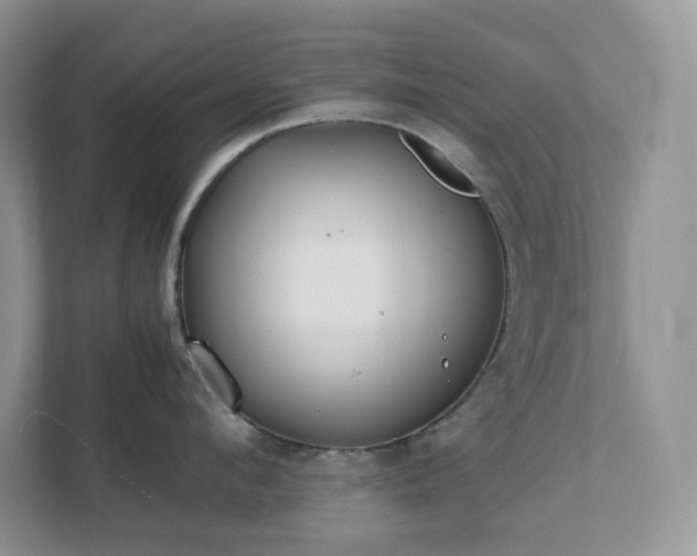 X0000111530912200907211242