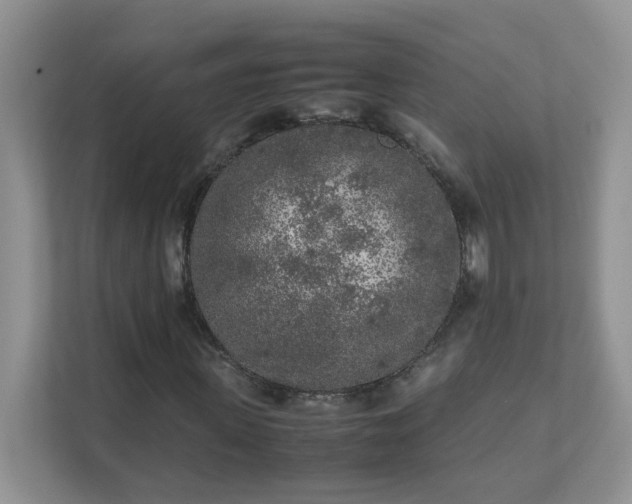 X0000111530915200907211241