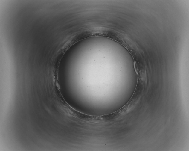 X0000111530916200907211241