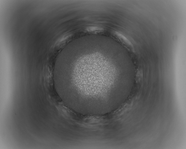 X0000111530917200907211241