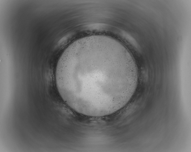 X0000111530918200907211241