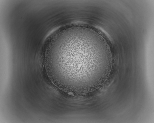 X0000111530919200907211241