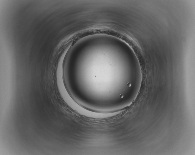 X0000111530920200907211241