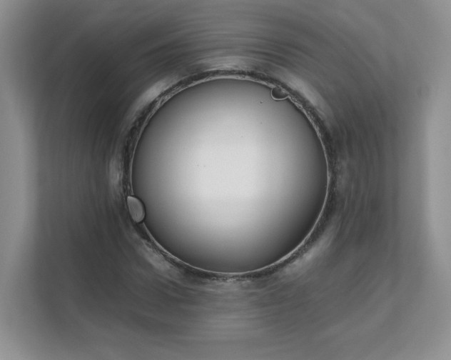 X0000111530922200907211241