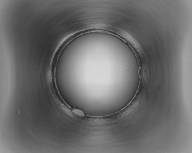 X0000111530924200907211241