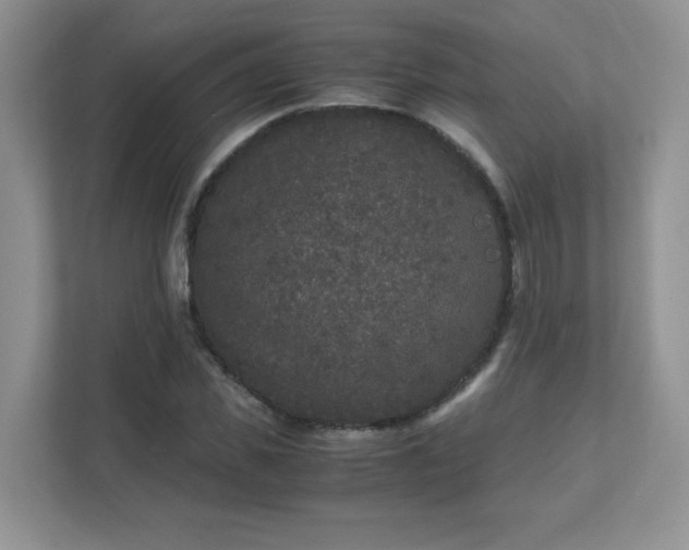 X0000111530925200907211241