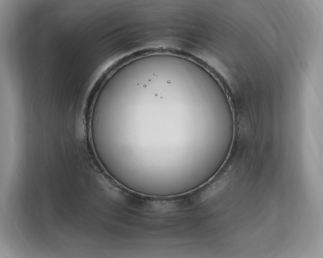 X0000111530927200907211241