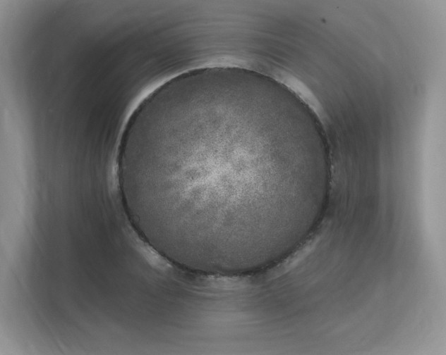 X0000111530928200907211241