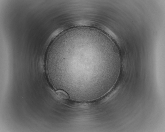 X0000111530930200907211241