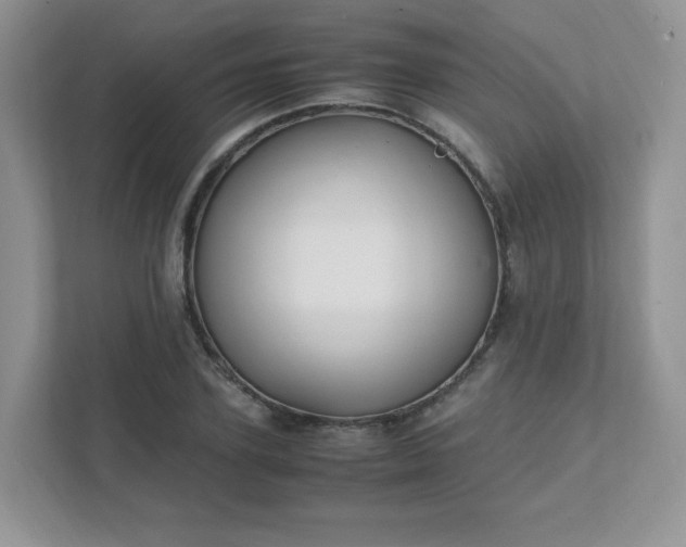 X0000111530931200907211241