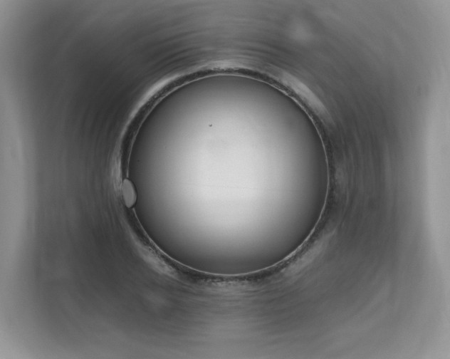 X0000111530934200907211242