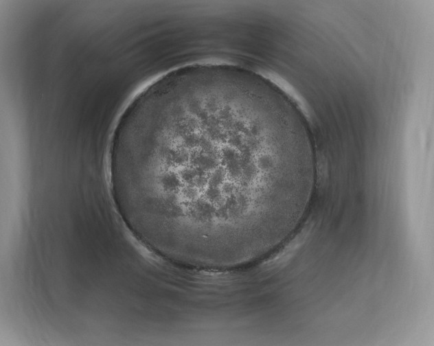 X0000111530935200907211242