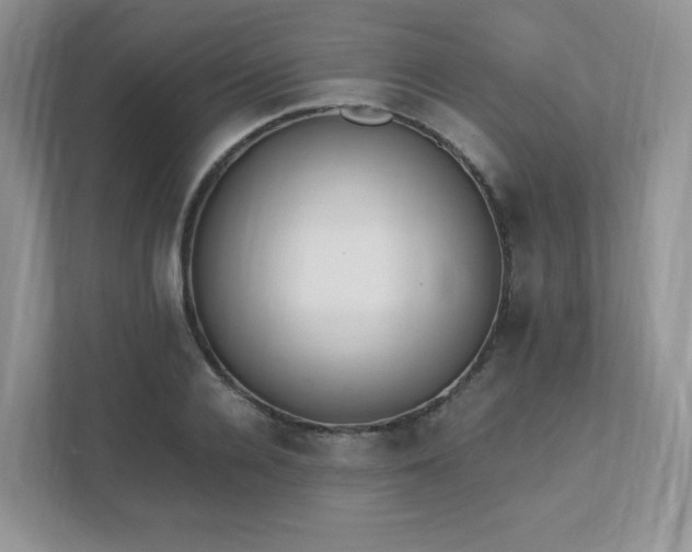 X0000111530936200907211242