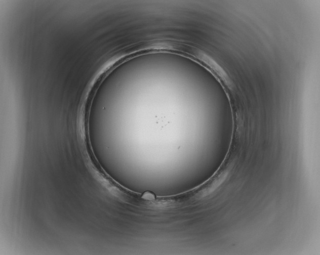 X0000111530939200907211242