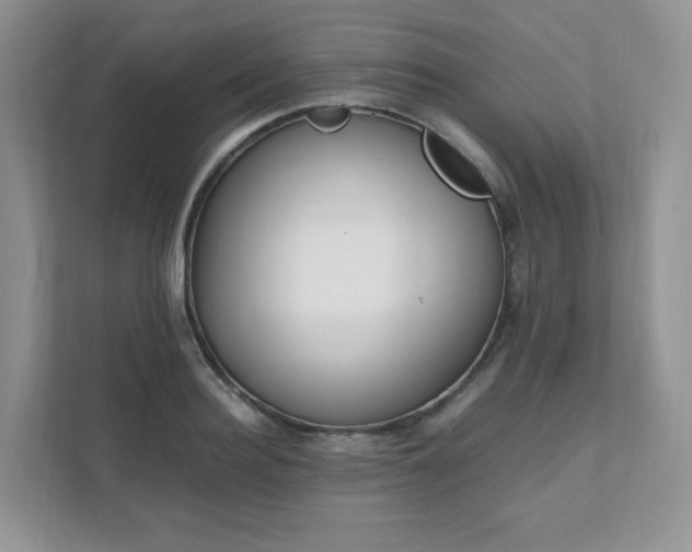 X0000111530940200907211242