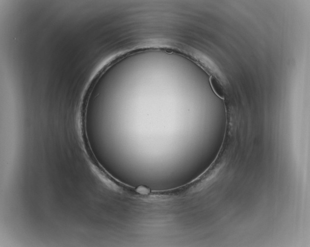 X0000111530942200907211242