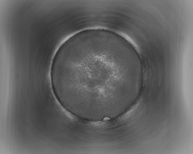 X0000111530943200907211242