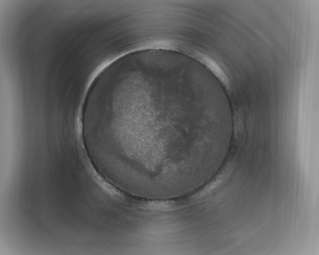 X0000111530944200907211242