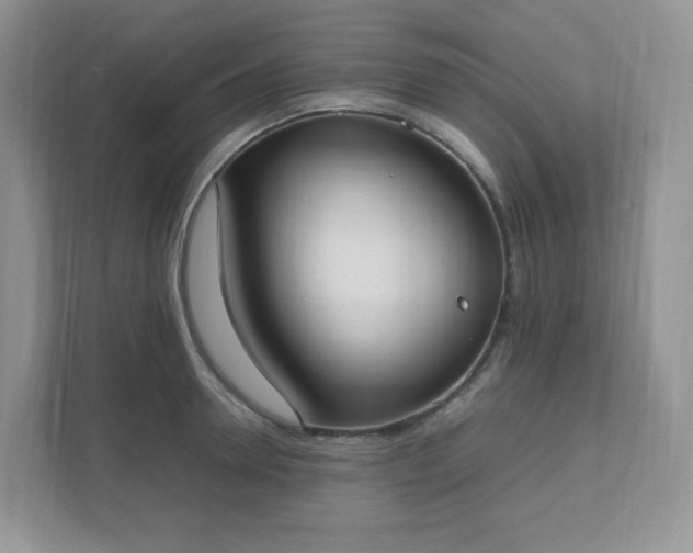 X0000111530946200907211242