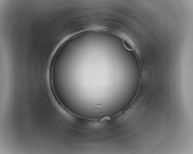 X0000111530947200907211242