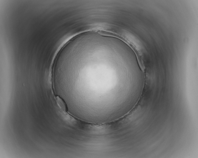 X0000111530948200907211242