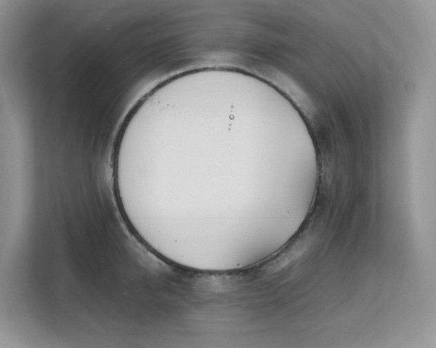 X0000111530950200907211242