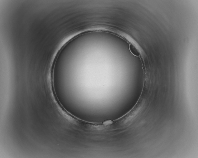 X0000111530951200907211242