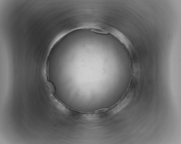 X0000111530952200907211242