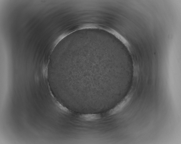 X0000111530953200907211242