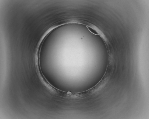 X0000111530955200907211242