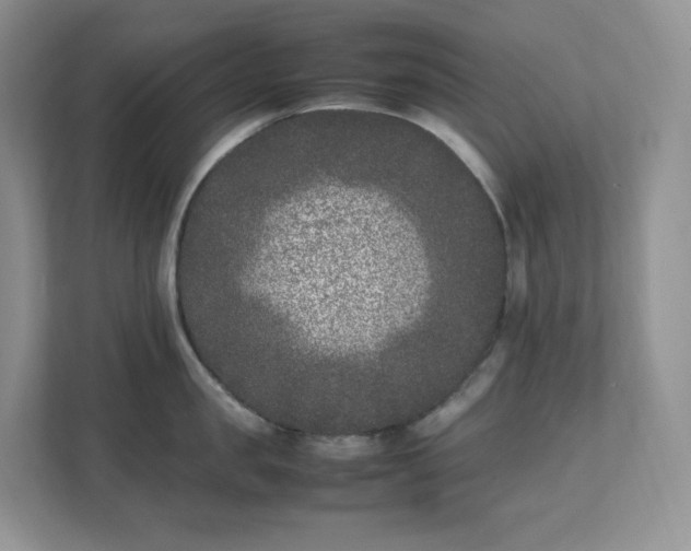 X0000111530957200907211242