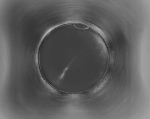 X0000111530958200907211242