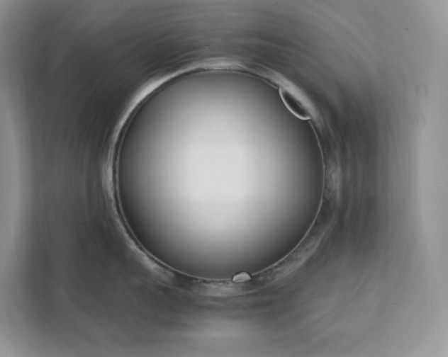 X0000111530959200907211242