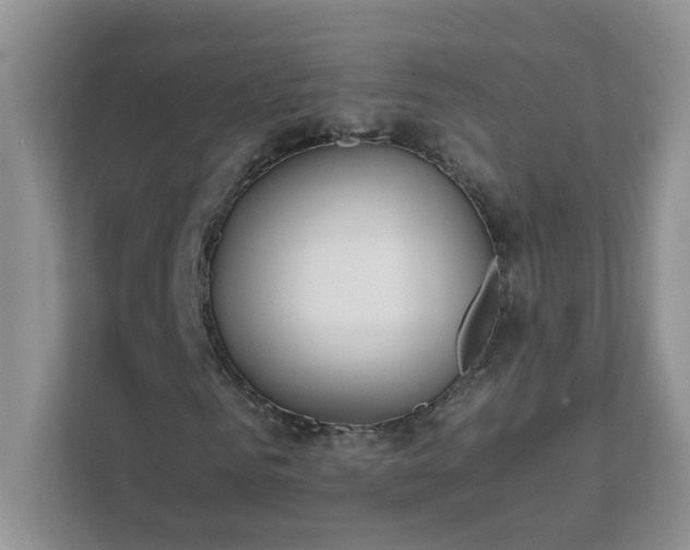 X0000111530961200907211241