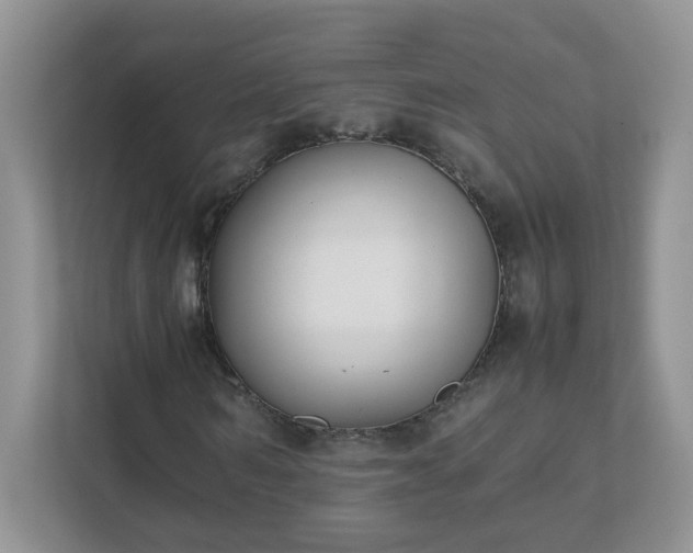 X0000111530962200907211241