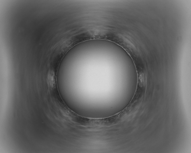 X0000111530963200907211241