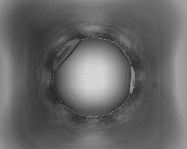 X0000111530965200907211241