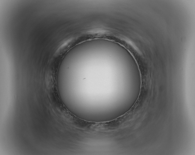 X0000111530967200907211241