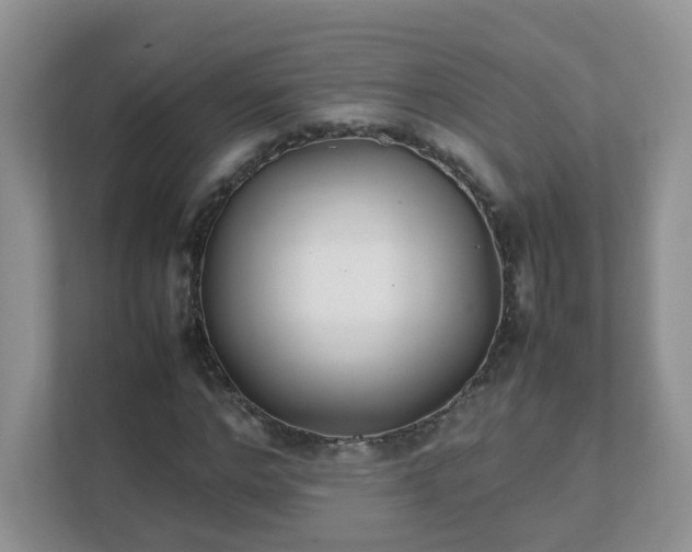 X0000111530968200907211241