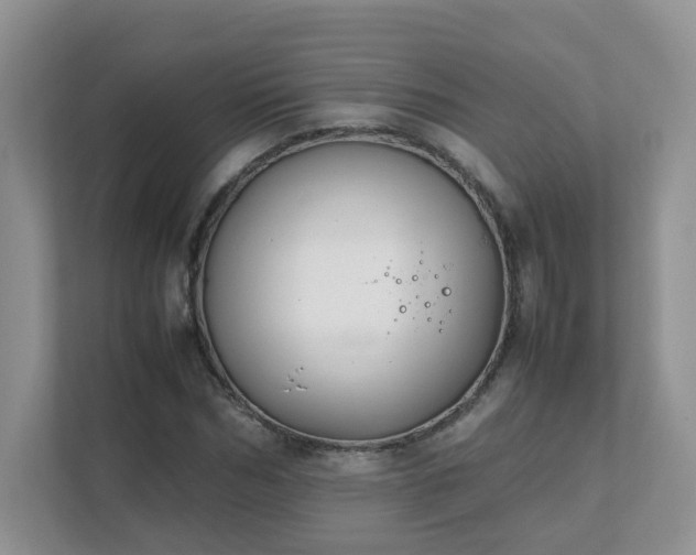 X0000111530970200907211241