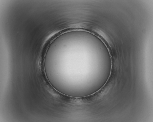 X0000111530971200907211241