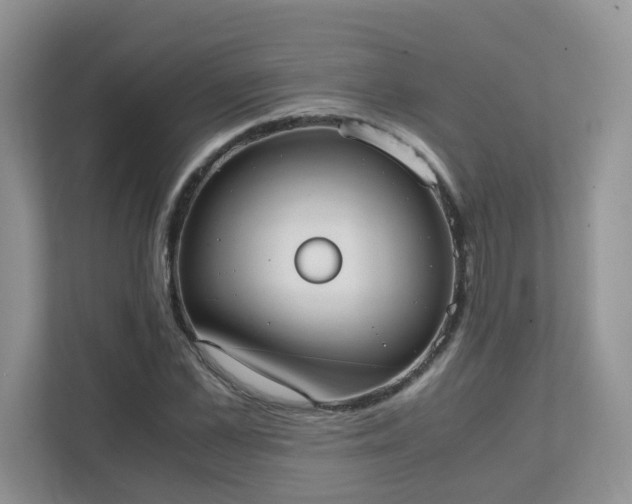 X0000111530973200907211241