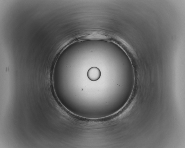 X0000111530977200907211241