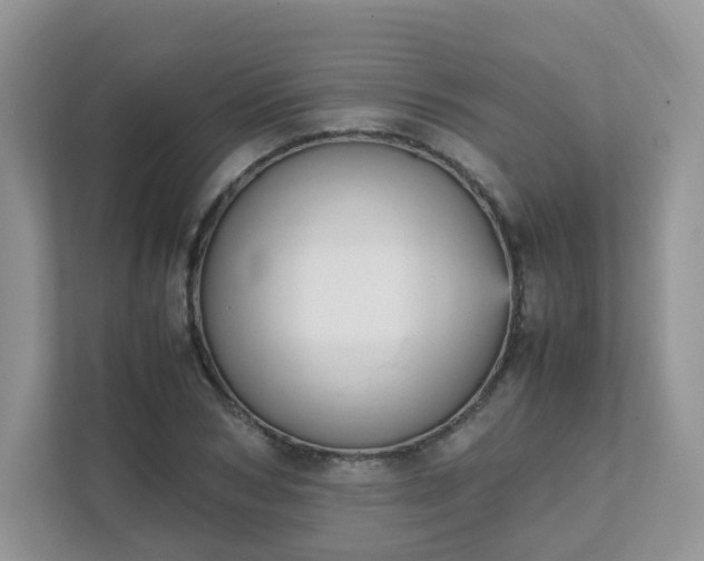 X0000111530978200907211241