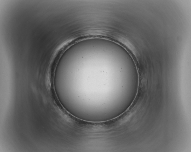 X0000111530979200907211241